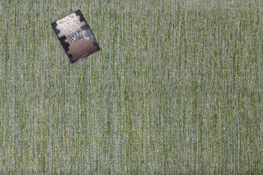 Alfombra de Algodón Verde con Flecos Negros